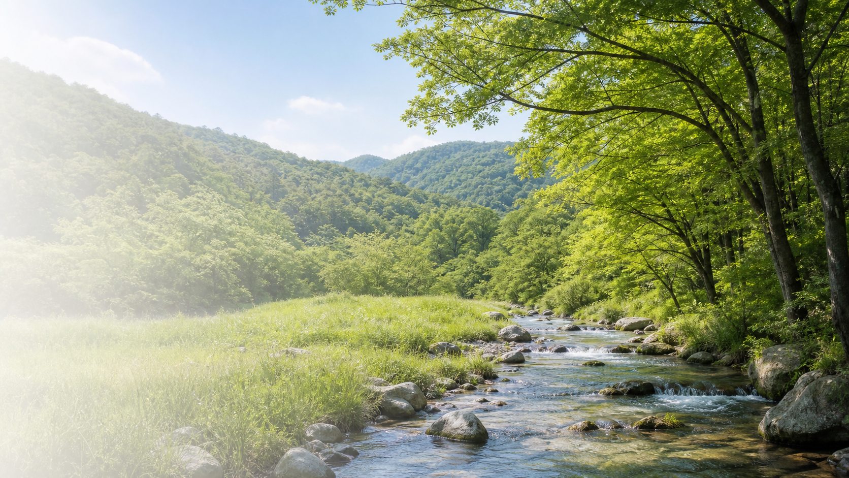 森と川の穏やかな自然風景イメージ